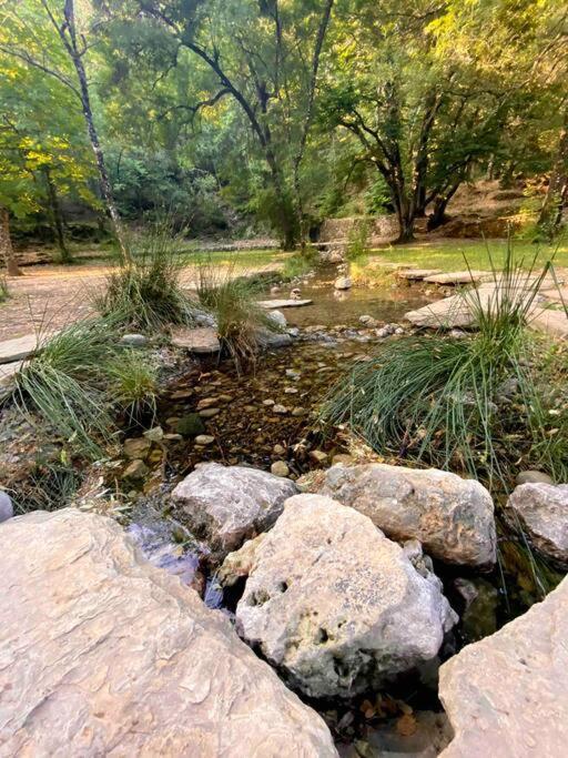 Tiny Liloumaca Coeur Ste Baume Villa Plan d'Aups Bagian luar foto